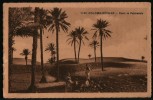 AK Algerien/Algeria/Algerie, Colomb Béchar, Dans La Palmeraie, Ungelaufen - Bechar (Colomb Béchar)