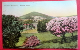 - Connecticut   Norfolk-- Haystack Mountain   Hand Colored 1925 Cancel -- Ref 401 - Other & Unclassified
