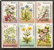 Romania  1993 Set Medicinal Plants Colorful Flower Plant Nature Flowers Plants Flora Nature Stamps MNH Mi 4866-4871 - Nuevos