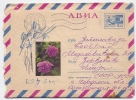 COVER - Traveled 1968th - Storia Postale