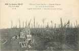 Somme : Jan12b 197 : Combles  -  Bois De Leuze  -  Grande Guerre - Combles