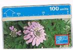 GIBILTERRA (GIBRALTAR) - L & G - 1992 FIORI : GIBRALTAR CANDYTUFT (IBERIS GIBRALTARICA)  100 UNITS - MINT   - RIF. 3823 - Gibilterra