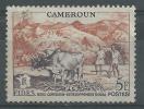 Cameroun N° 300  Obl. - Used Stamps