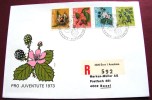 ==  SCHWEIZ  Pro Juventute 1973,flora - Storia Postale