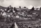 Schweiz > AR Appenzell Ausserrhoden 1964, Speicher, Hinterdorf Mit Vőgellnsegg Und Kurhaus Beutler,   Galaugen Ja 1 - Speicher