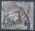 1890-94 REGNO USATO SEGNATASSE 1 LIRA - RR9829 - Strafport