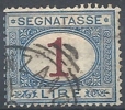 1890-94 REGNO USATO SEGNATASSE 1 LIRA - RR9830-2 - Portomarken