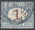 1890-94 REGNO USATO SEGNATASSE 1 LIRA - RR9830-4 - Segnatasse