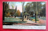 New York > Syracuse   Walnut Ave Showing Walnut Park  1907  Paper Residue From Album Comm. Stamp   Cancel----ref 402 - - Syracuse