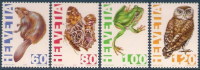 Switzerland / Animals / Frogs / Butterfly / Owl / Beawer - Kikkers