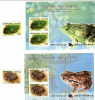 South Korea / Animals / Frogs - Frogs