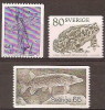 Sweden / Animals / Frogs / Fish / Moscito - Rane