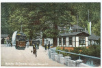 Sachs Schweiz Grosser Wasserfall Mit Strassenbahn Farbig C. 1908 - Kirnitzschtal