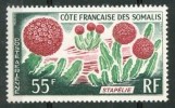 1966 Costa Francese Dei Somali Flora Cactus Piante Plants Plantes Set MNH** B368 - Cactus