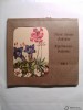 A-A Alpine Flower Calendar 1961 Alpenblumenkalender Calendrier 1961 12x Cartes Postales De Fleurs Des Alpes - Small : 1961-70