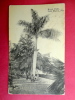 Florida > Fort Myers  Royal Palm    1914 Cancel==   ===  =ref 403 - Fort Myers