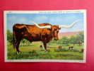 Texas Longhorn Steer Width Of Horns 9 Ft 6 Inch Linen 1941 Cancel----- =ref 403 - Altri & Non Classificati