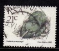 South Africa Used 1990, 21c Gasteria Armstrongii, Insect - Used Stamps