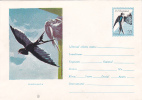 BIRDS;HIRONDELLE SWALOW 1961 COVER STATIONERY ENTIER POSTAL UNUSED VERY RARE! ROMANIA - Rondini