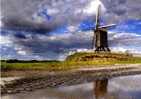 WANNEGEM-LEDE (O.Vl.) - Molen/moulin - Prijswinnende Fotokaart Van De Schietsjampettermolen / Steun Restauratieproject - Kruishoutem