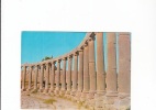 B52717 Pillars Of Jerash Jordan Jordanie Not Used Perfect Shape - Giordania