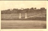 Verdun- **PAS COURANTE** Cimetière De Glorieux (3500 Tombes)  Ed Verdun N°82 - Cimiteri Militari