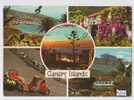 PO3078# ISOLE CANARIE - CAMMELLIERI - VEDUTE  VG - Fuerteventura