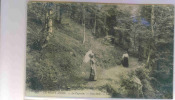 LE MONT DORE    PUY DE DOME     LE  CAPUCIN - Le Mont Dore