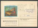 USSR RUSSIA ESTONIA 1983 TALLINN ENERGIAMÜÜK MACHINE STAMPED COVER, FISH - Machines à Affranchir (EMA)