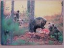 Bears Polish Card - Bären