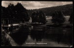 AK Altenbrak/Harz, Bergschwimmbad, Handfoto 1960 - Altenbrak