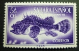 SAHARA 1953: Edifil 108 / YT 95  / Sc B27 / Mi 139 / SG 105,  Pescados Poissons Fish ** - FREE SHIPPING ABOVE 10 EURO - Sahara Español