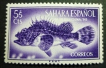 SAHARA 1953: Edifil 108 / YT 95  / Sc B27 / Mi 139 / SG 105,  Pescados Poissons Fish ** - FREE SHIPPING ABOVE 10 EURO - Spanische Sahara