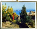 CALENDRIER 1970 MIMOSAS A GOLFE JUAN COMMUNE DE VALLAURIS ALPES MARITIMES IMPRIMEUR OBERTHUR - Grand Format : 1961-70