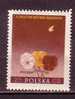 R3098 - POLOGNE POLAND Yv N°815 ** - Unused Stamps