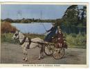 C 6823 - KERRY - Ireland - Jaunting Car - Belle CPM - - Kerry