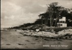 AK Küste Am Darß, Strand An Den Rehbergen, 1969 - Fischland/Darss