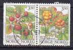 Norway 1996 Mi. 1204-05    3.50 Kr Waldbeeren Pair Paare Aus Booklet (M27) Deluxe MOSS Cancel !! - Used Stamps