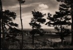 AK Hiddensee, Blick Auf Kloster, Echte Fotografie 1959 - Hiddensee