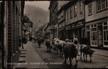 AK Friedrichroda, Kuhherde In Der Hauptstraße, 1957 - Friedrichroda