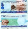 RUANDA - RWANDA:  1000 Francs 1/12/1998  UNC  *P-27  *CATTLE / HARVEST - Rwanda