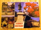 AIN 01 FERNEY VOLTAIRE MULTIVUES - Ferney-Voltaire