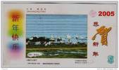 Seashore Wetland,Best Bird Watching Site,Seagull,China 2005 Qinhuangdao Landscape Advert Pre-stamped Card - Meeuwen