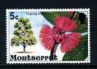 MONTSERRAT - 1976 5c FLOWERING TREE ERROR WMK TO RIGHT OF CA FINE MNH ** - Montserrat