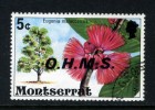 MONTSERRAT - 1976 5c FLOWERING TREE OHMS FINE USED - Montserrat