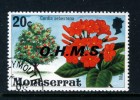MONTSERRAT - 1976 20c FLOWERING TREE OHMS FINE USED - Montserrat
