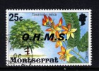 MONTSERRAT - 1976 25c FLOWERING TREE OHMS FINE USED - Montserrat