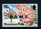 MONTSERRAT - 1976 55c FLOWERING TREE OHMS FINE USED - Montserrat