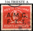 Trieste-A-F0316 - Postage Due