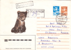 BEARS, OURS, 1986, REGISTERED, POSTAL COVER STATIONARY, RUSSIA - Osos